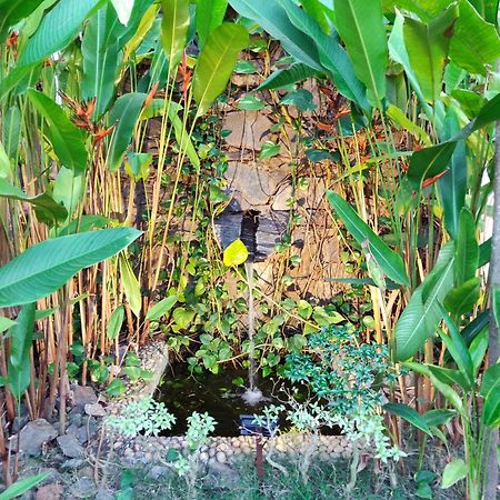 كالانغيُت Rock Forest Goa Honeymoon Cottages المظهر الخارجي الصورة