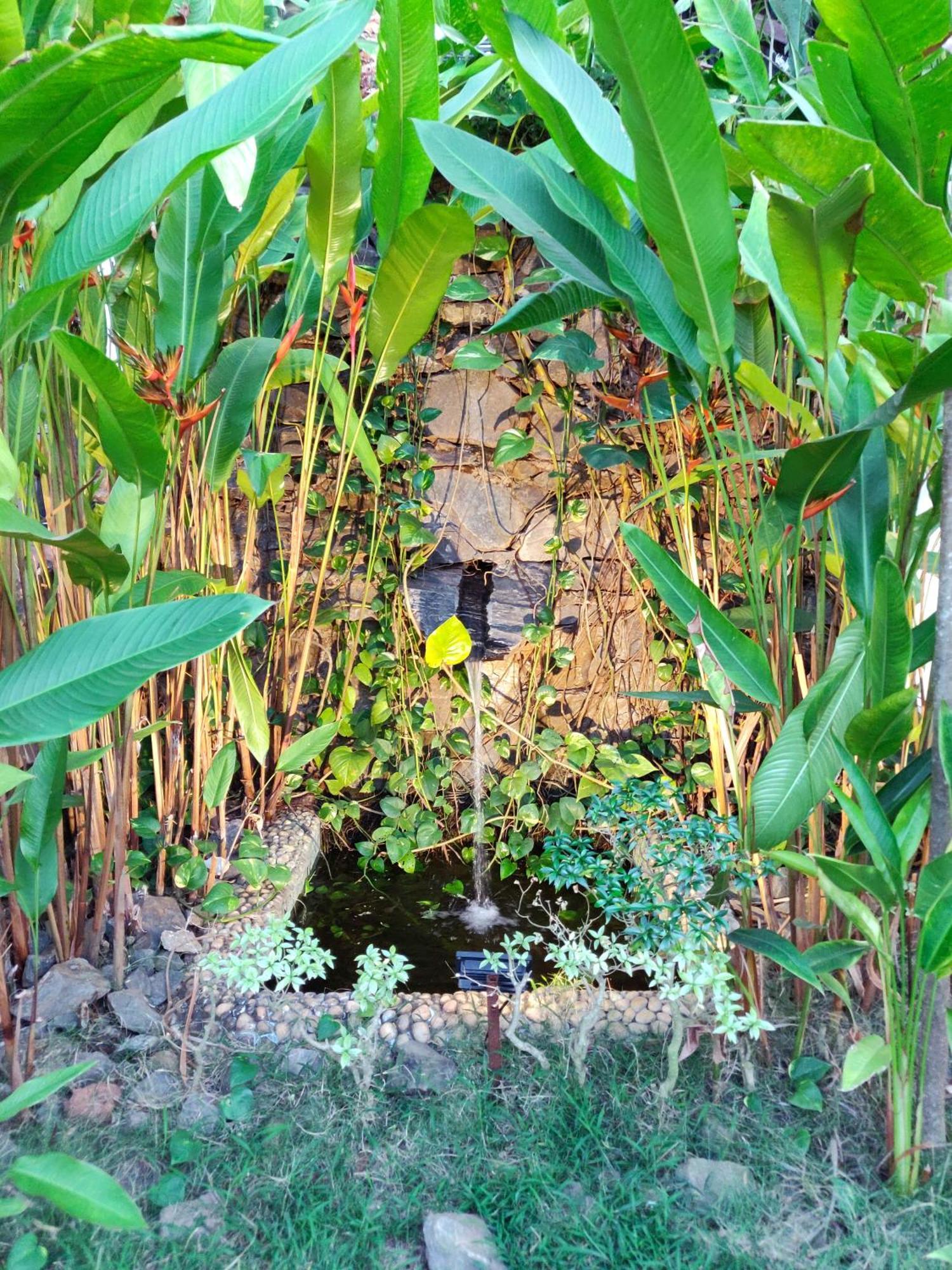 كالانغيُت Rock Forest Goa Honeymoon Cottages المظهر الخارجي الصورة