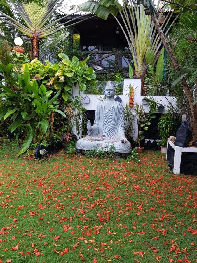 كالانغيُت Rock Forest Goa Honeymoon Cottages المظهر الخارجي الصورة